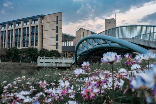 吴川学校爆料视频大全集,揭秘校园风云录 第3张 吴川学校爆料视频大全集,揭秘校园风云录 第3张