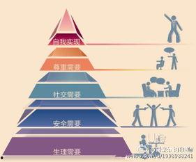 美国在线观看理论,揭秘数字时代的观影新趋势