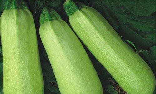 热门吃瓜网红排行榜图片,揭秘网络红人风云变幻 第2张 热门吃瓜网红排行榜图片,揭秘网络红人风云变幻 第2张